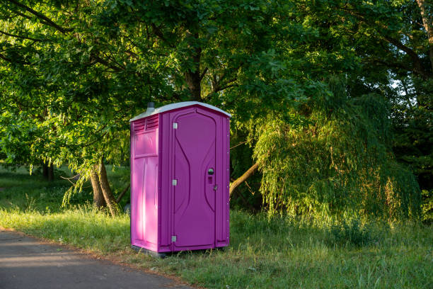 Portable Toilet Options We Offer in Innovation, VA
